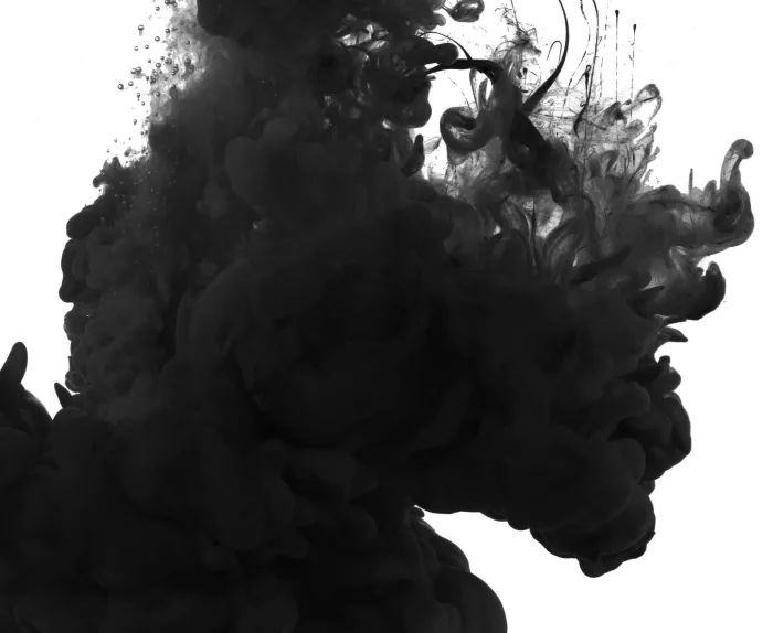 Black Eurolana - Afbeelding 2