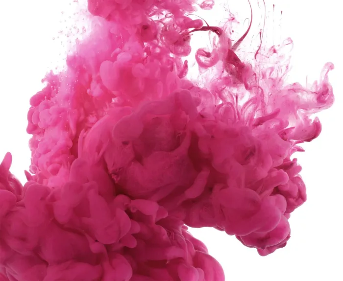 Magenta Eurolana - Afbeelding 2