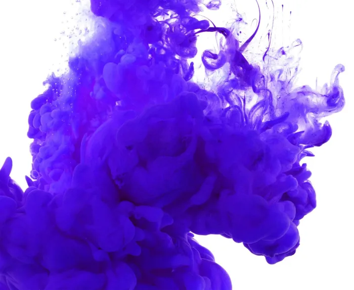 Violet Eurolana - Afbeelding 2