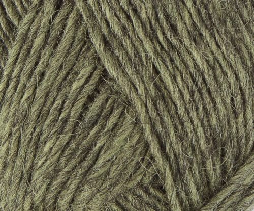 Lett lopi frostbite 1417