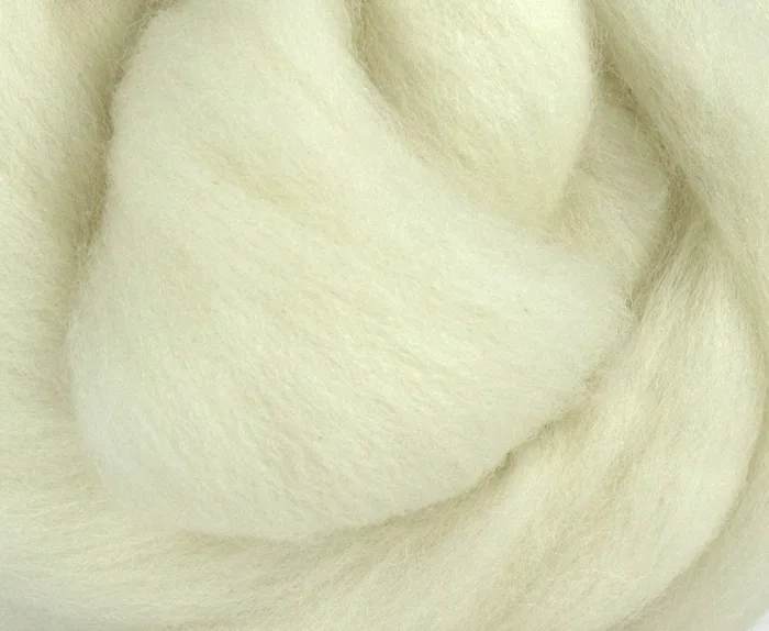 Witte Polwarth - Afbeelding 2