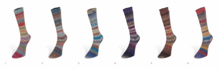 Carnival Socks